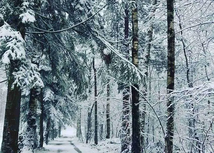 Villa Sisarka Centar *