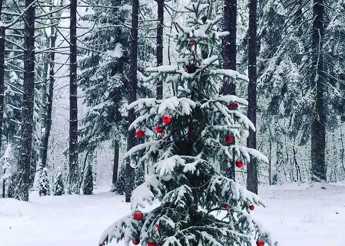 Sisarka Centar Villa Divčibare