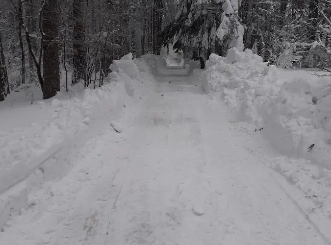 Sisarka Centar Villa *