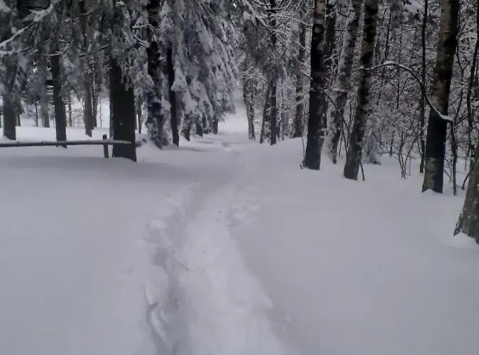 Villa Sisarka Centar Divčibare